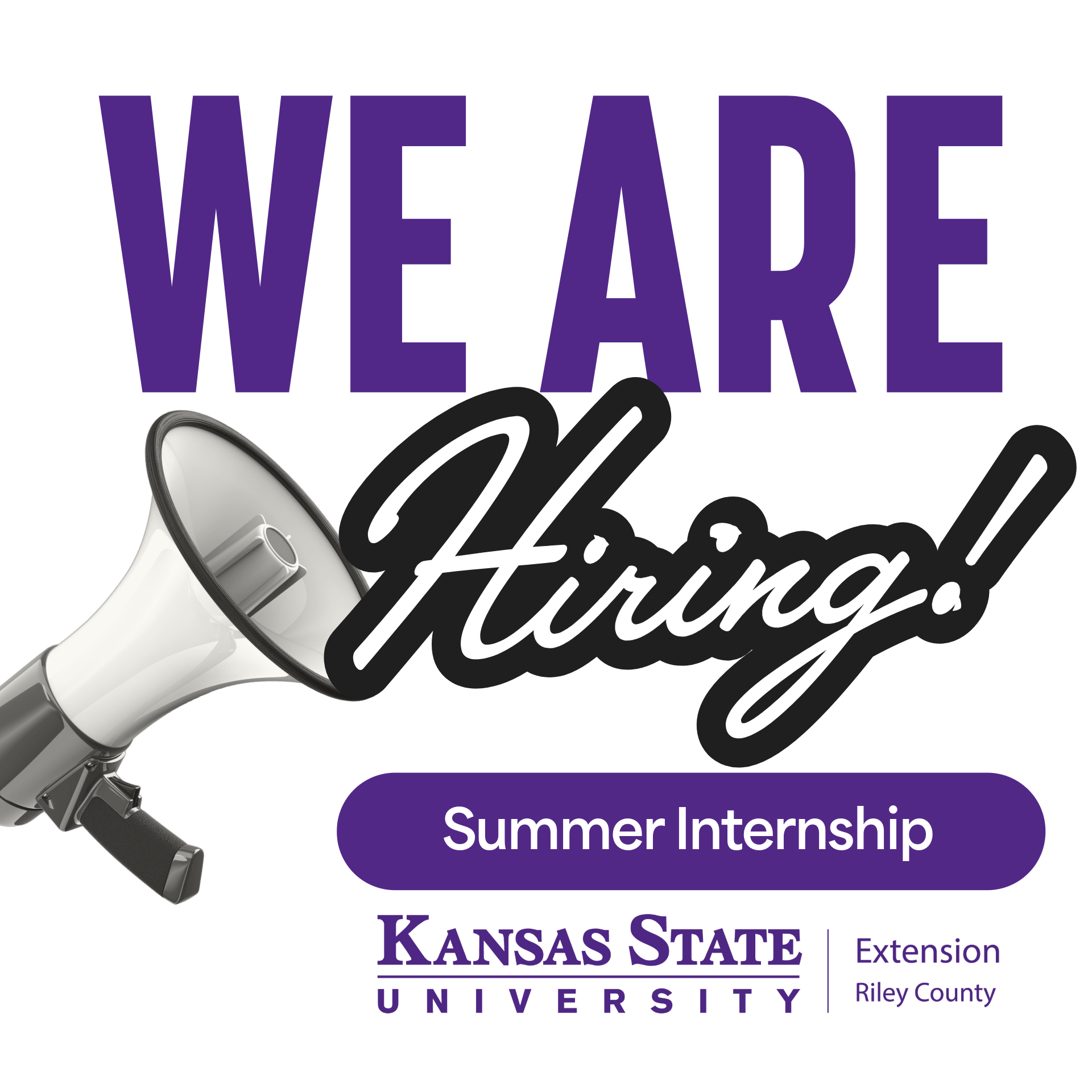 Riley County Summer Internship