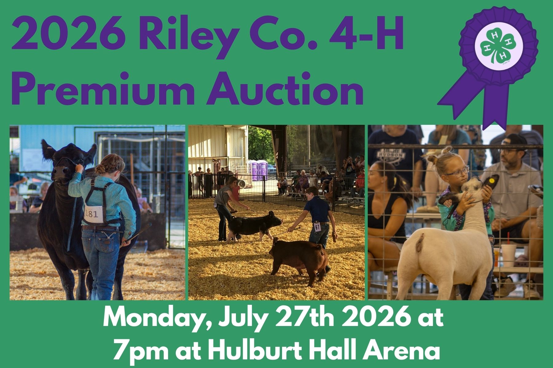 sale flyer sale flyer